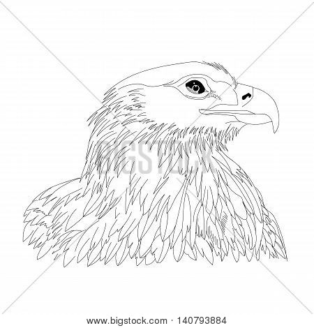 450x470 Eagle Images, Illustrations, Vectors