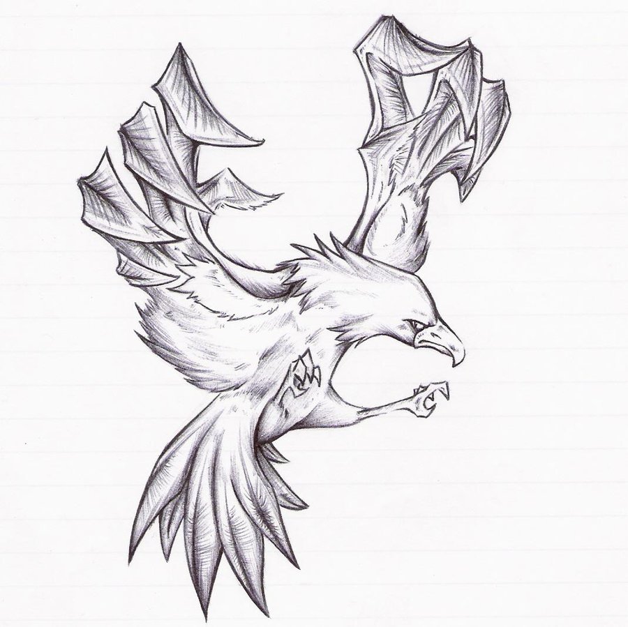 900x899 Eagle Sketch By Mysticsuicune