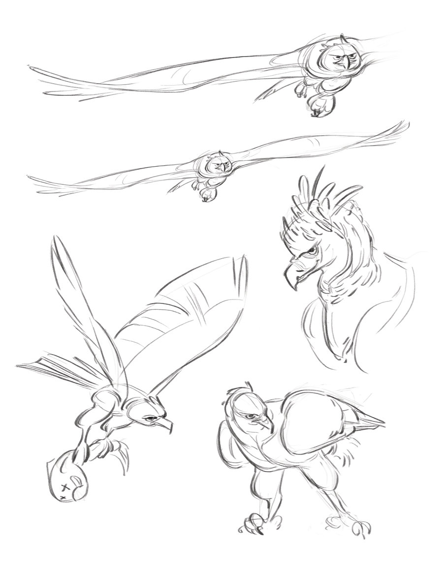 900x1157 Harpy Eagle Sketches By Hnautumn