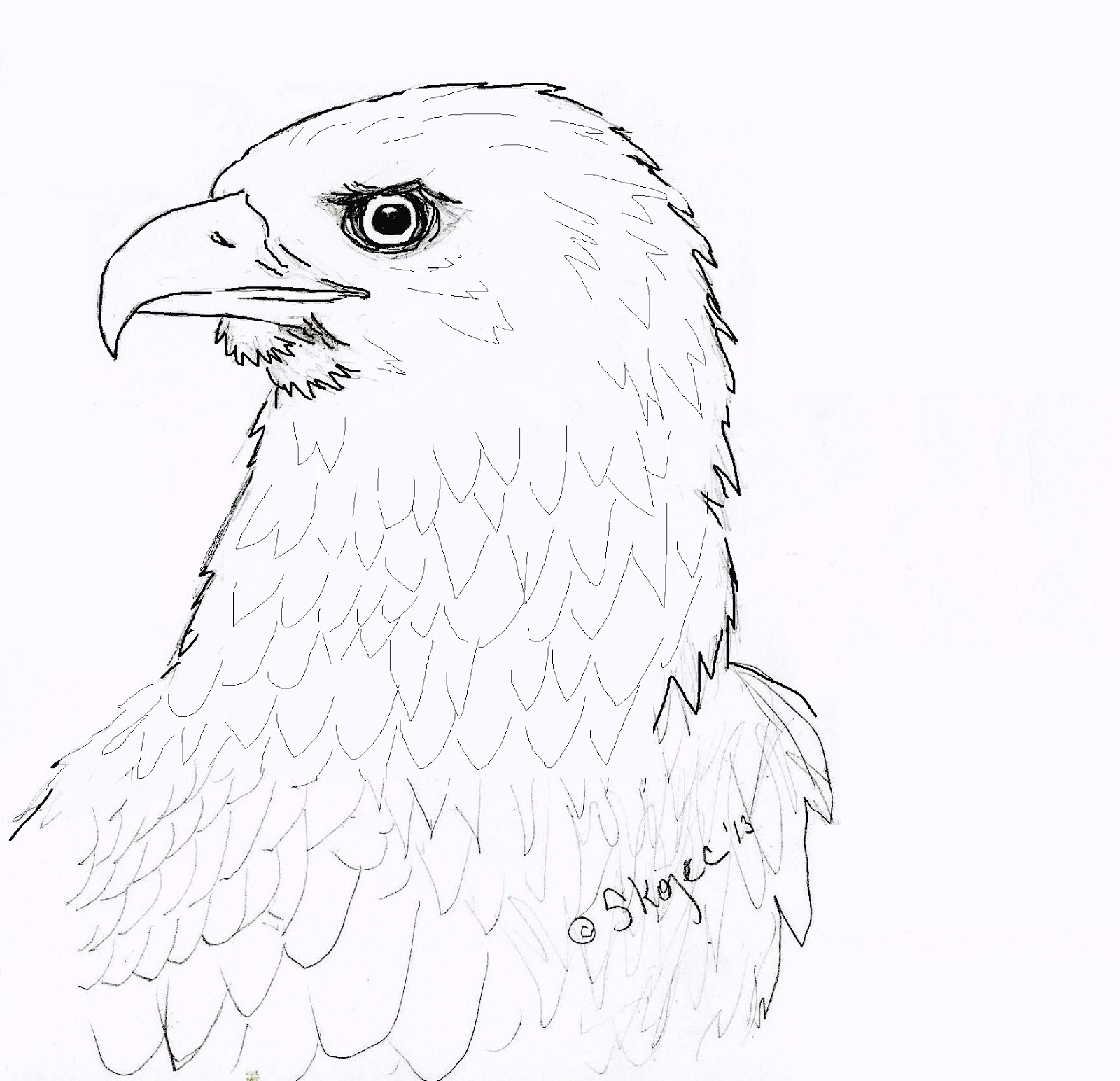 1600x1544 Draw An Eagle Art Class Ideas