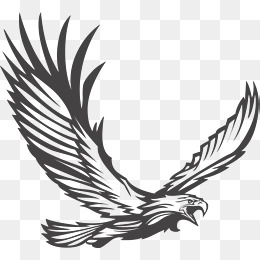 260x260 Eagle Soaring Png Images Vectors And Psd Files Free Download