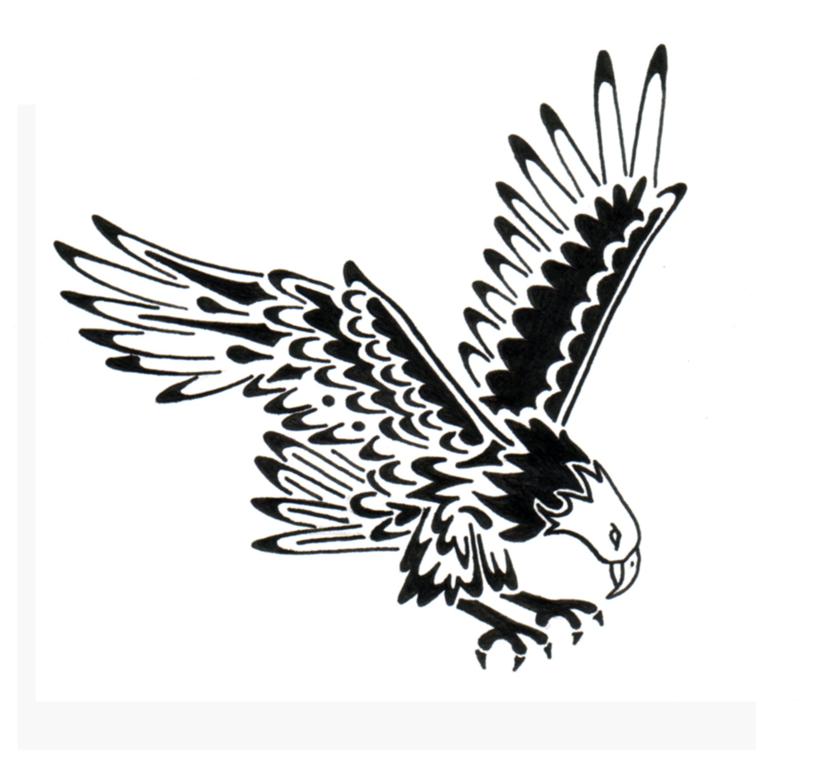 1609x1504 Eagle Tattoos Designs, Ideas And Meaning Tattoos For You