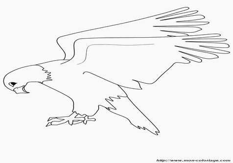 Eagle Soaring Drawing at GetDrawings | Free download