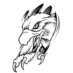 256x256 Mad Eagle Gamebanana Sprays