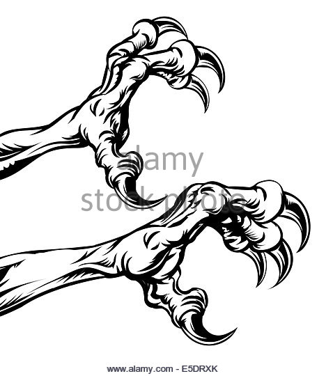 468x540 Talon Black And White Stock Photos Amp Images