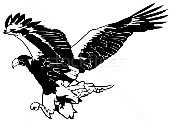 600x424 Talon Stock Vectors, Illustrations And Cliparts Stockfresh