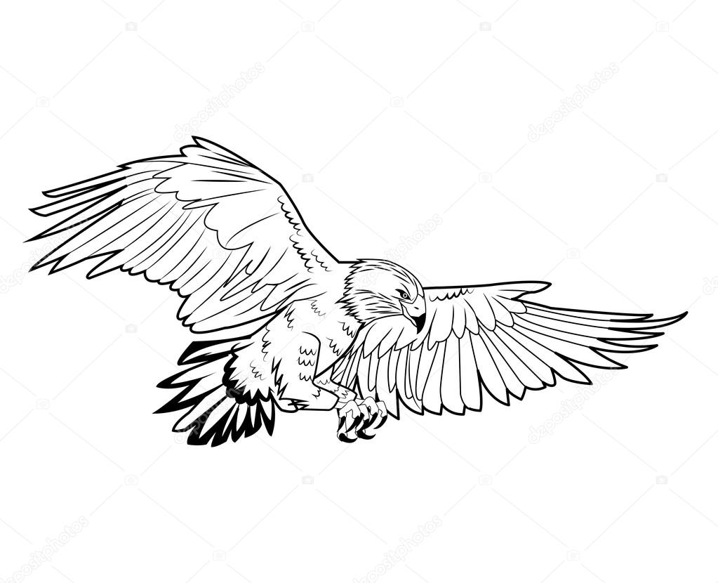 1023x830 Eagle Tattoo Art Design Stock Vector Jemastock