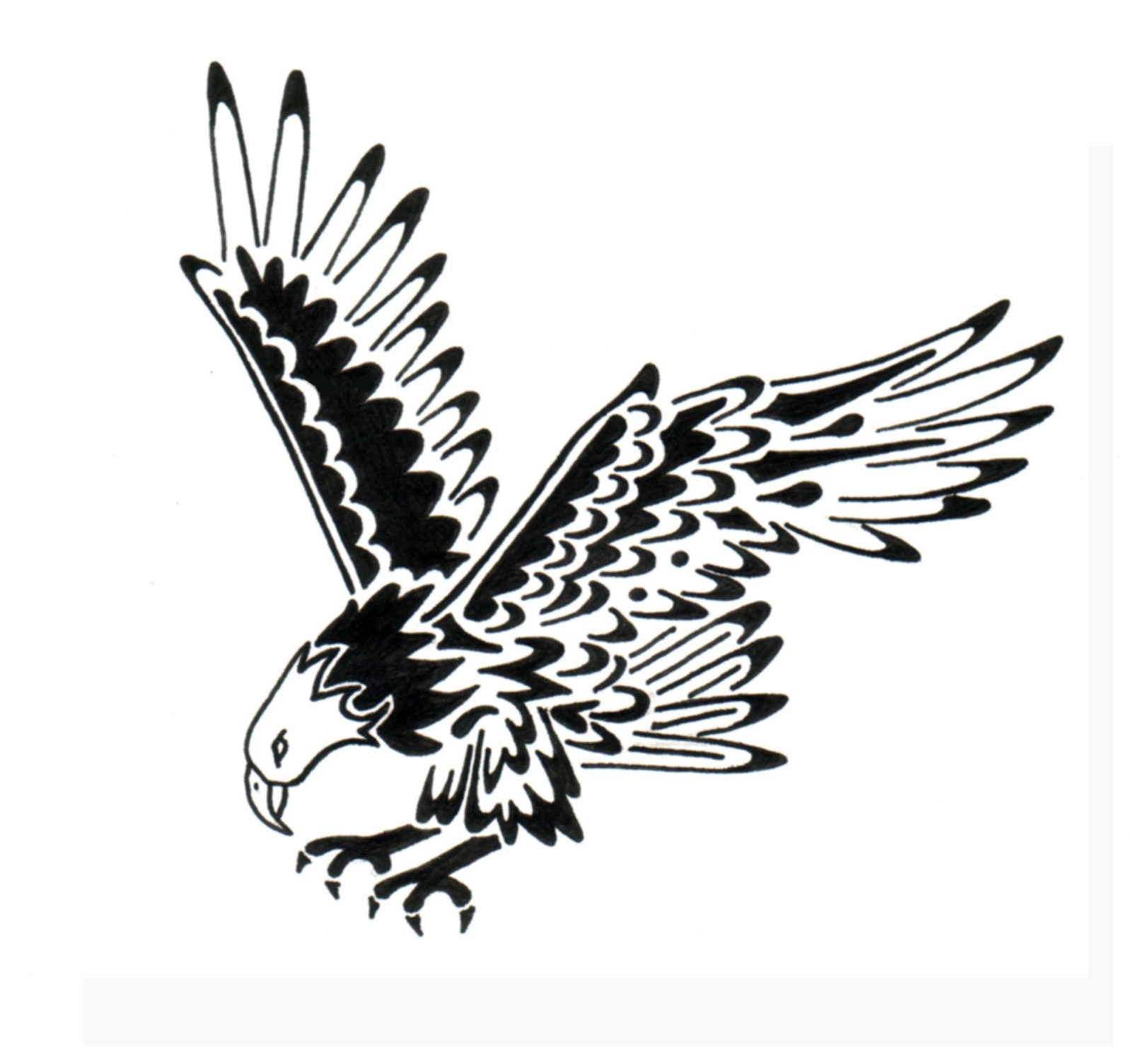 1609x1504 Flying Eagle Tattoo Designs Awesome Black Flying Eagle Tattoo