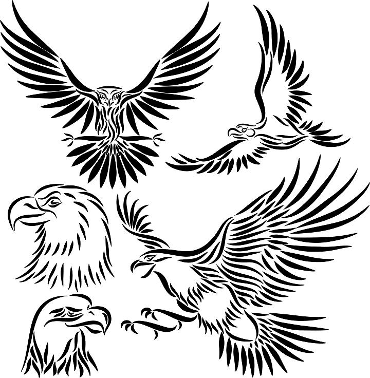 720x736 Very Beautiful Eagle Tattoo Design Tattoo Design Costs You Are