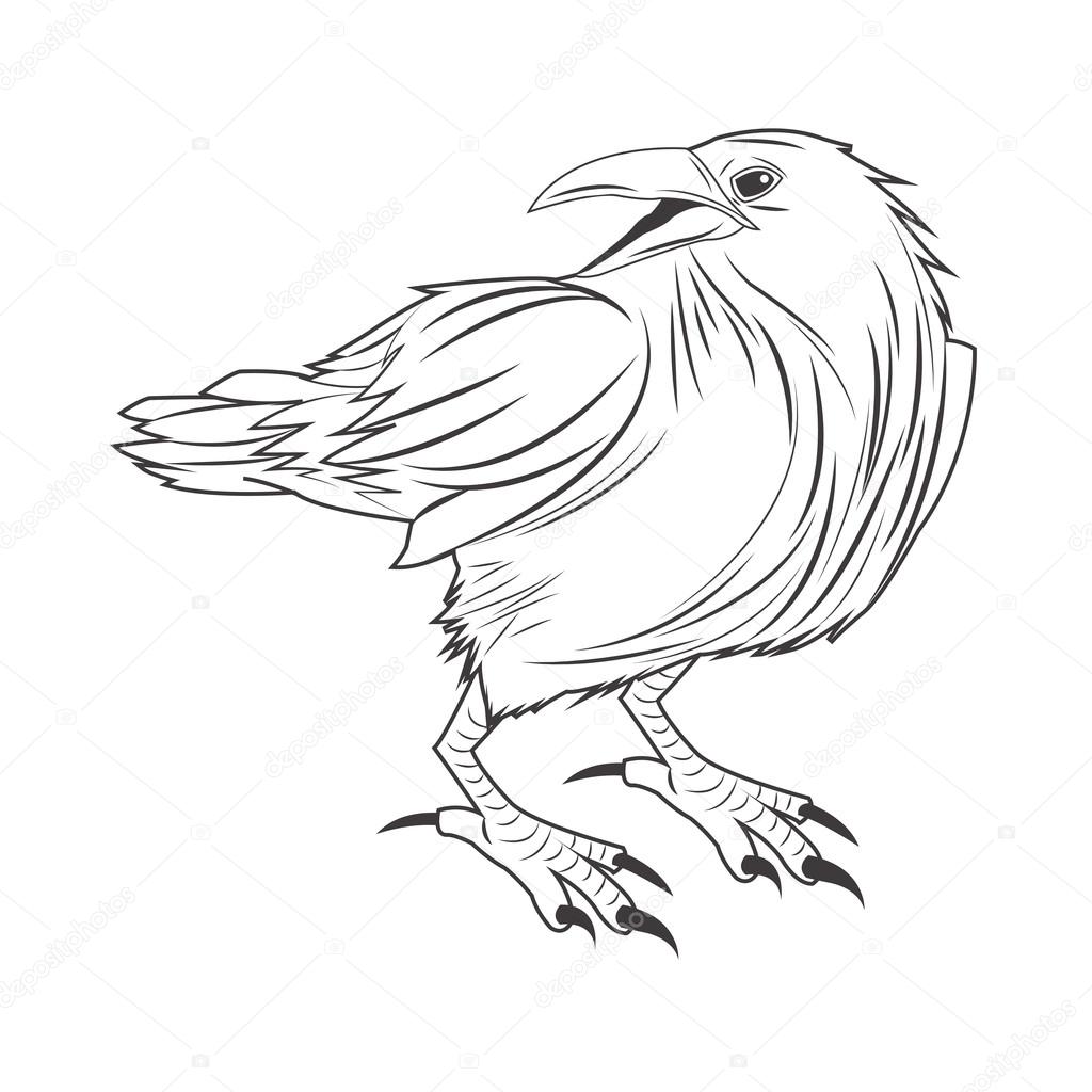 1024x1024 Eagle Tattoo Animal Design Stock Vector Jemastock