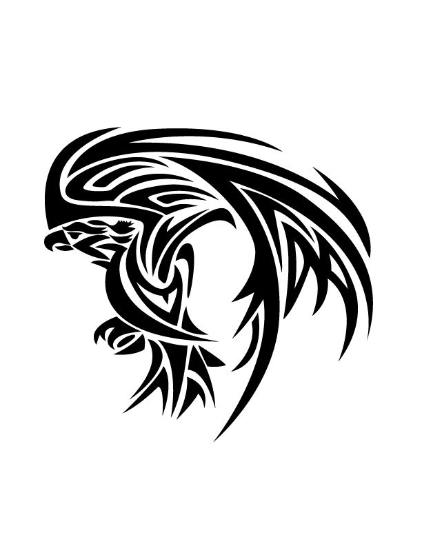 Eagle Wing Drawing at GetDrawings | Free download