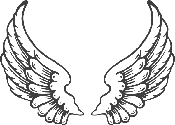 600x428 Grey Eagle Wings Clip Art