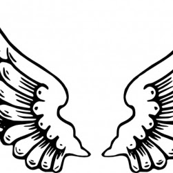 251x251 Simple Eagle Wings Drawing