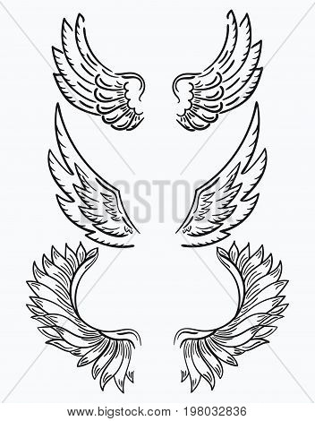 352x470 Wings Images, Illustrations, Vectors
