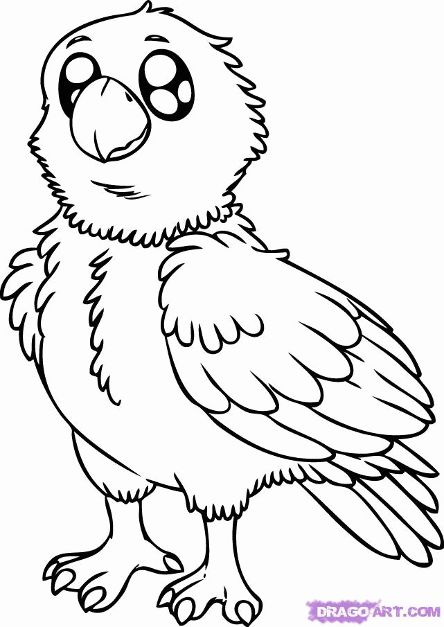 641x905 Pictures Of Eagles To Color 373666