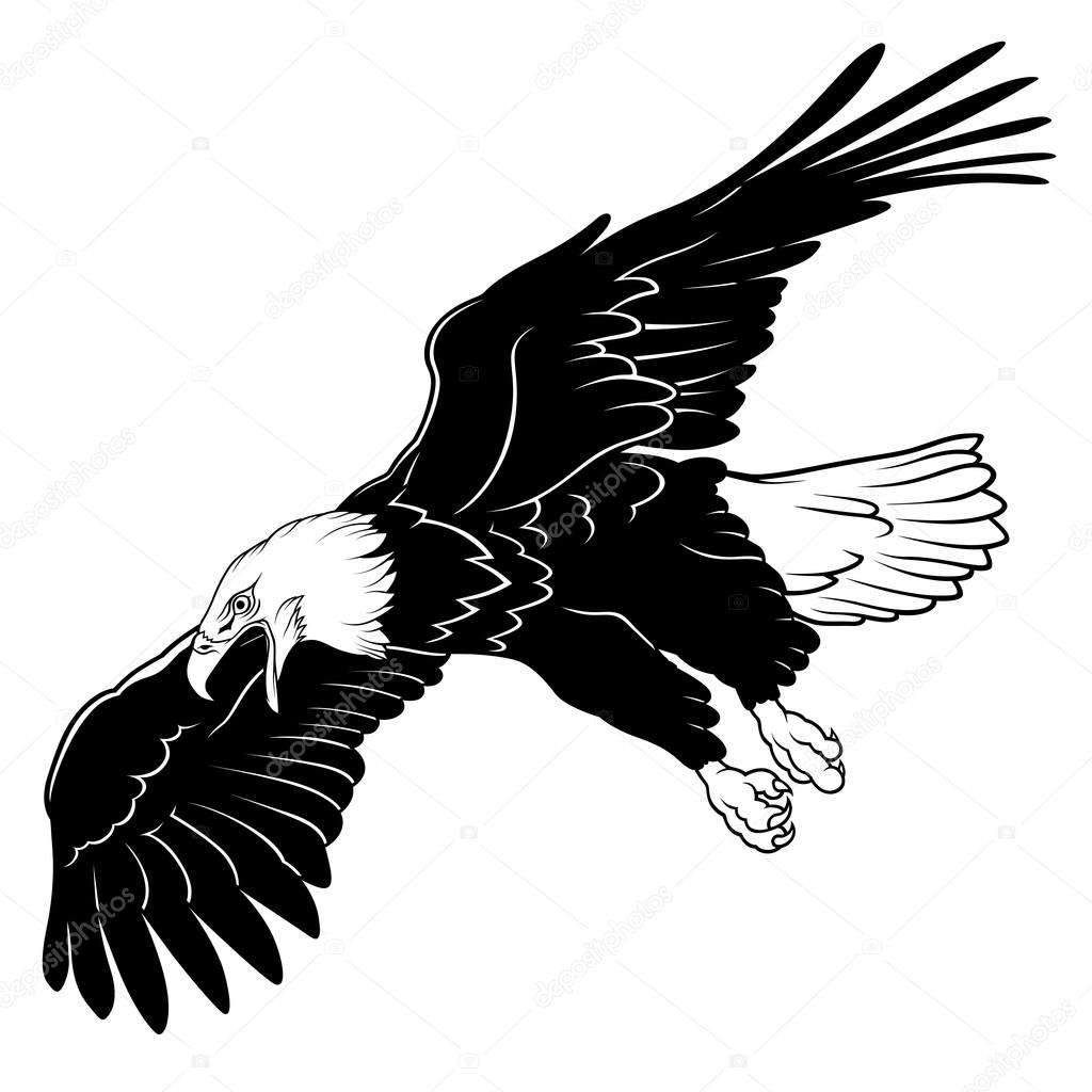1024x1024 Bald Eagles Flying Drawing