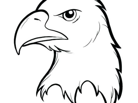 440x330 Coloring Pages Of Bald Eagles Eagles Coloring Pages Soaring Bald