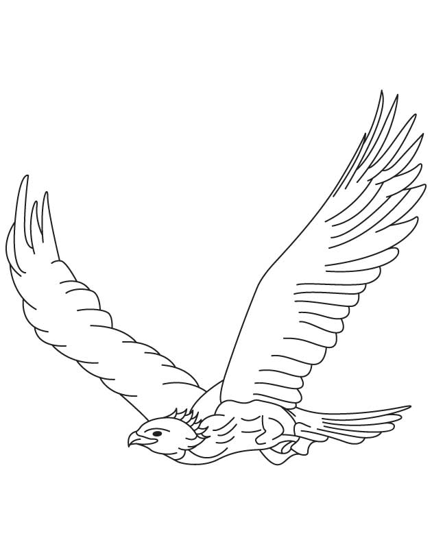 630x810 Coloring Pages Of Eagles Many Interesting Cliparts