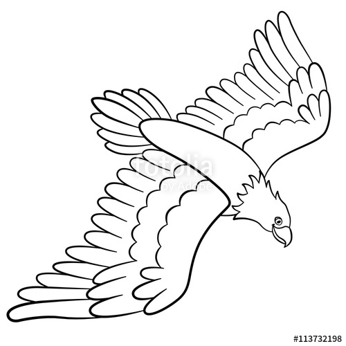 500x500 Coloring Pages. Wild Birds. Cute Flying Eagle Smiles. Stock Image