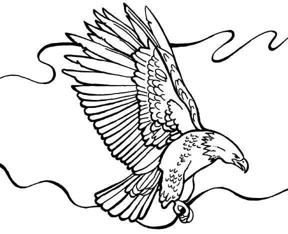 576x468 Eagle Color Page Drawing Flying Eagle Coloring Page Harpy Eagle