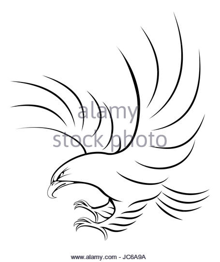 455x540 Illustration American Bald Eagle Flying Stock Photos
