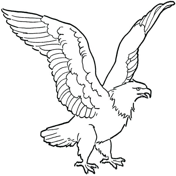 600x600 Philadelphia Eagles Coloring Pages Pin Drawn Eagle Eagles