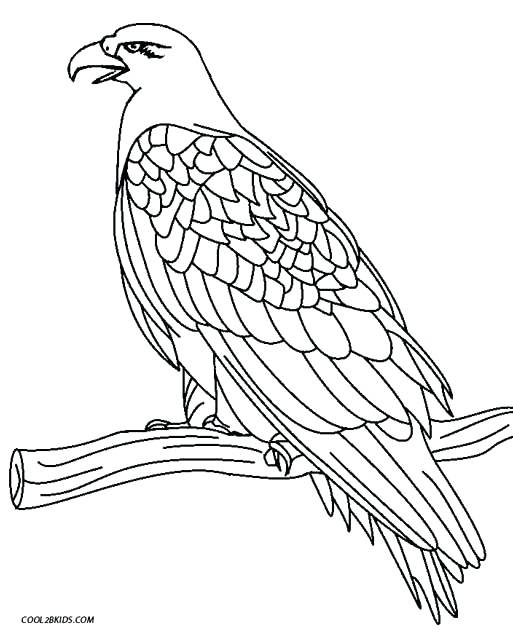 513x635 Eagle Coloring Pages