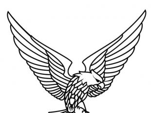 310x233 Flying Eagle Vector Free Vectors Ui Download