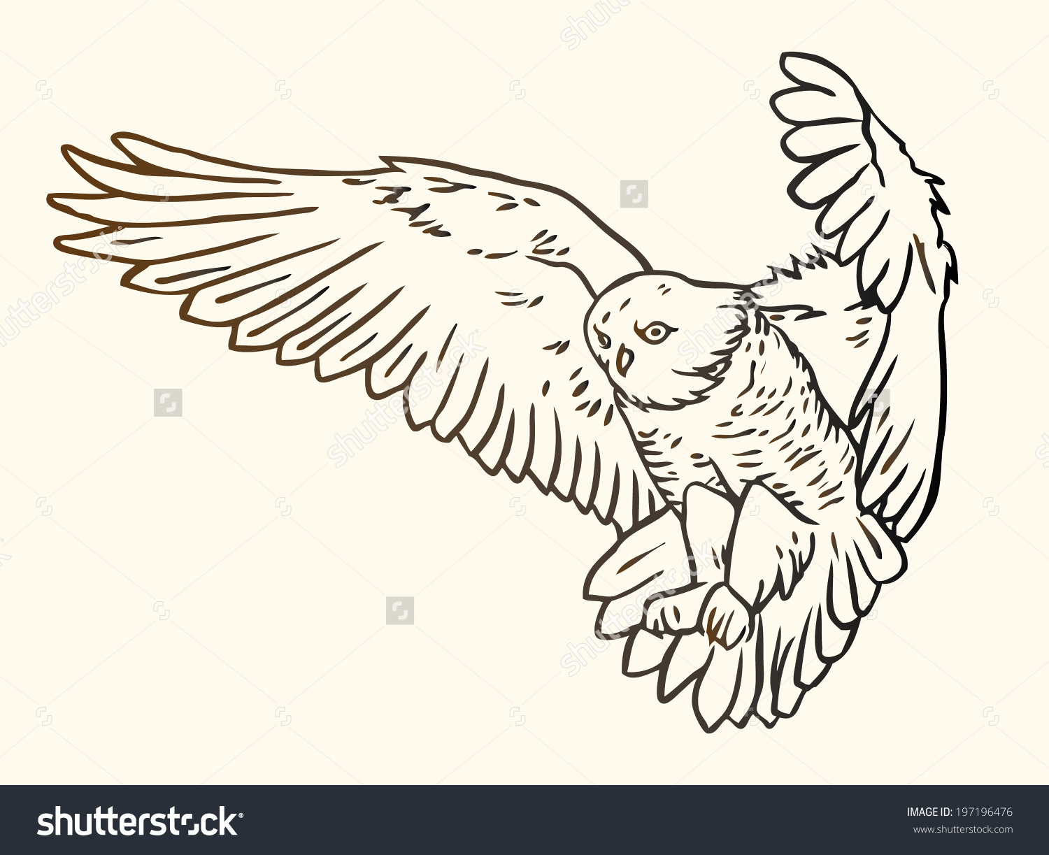 1500x1223 Bird Of Prey Contour Clipart
