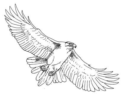 413x320 Clipart Of A Hawk In Flight