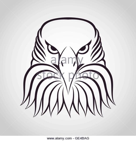 520x540 Eagle Shield Logo Stock Photos Amp Eagle Shield Logo Stock Images