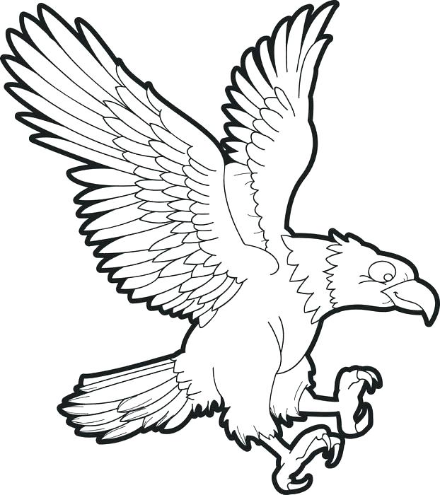 622x700 Coloring Pages Of Eagles Coloring Pages Of Bald Eagles Eagles