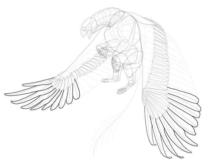 700x567 How To Draw A Griffin