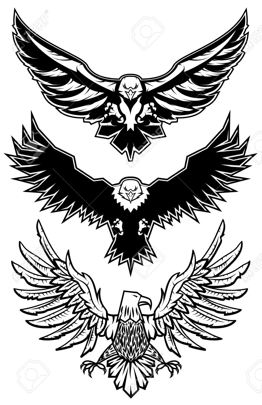 840x1300 Set Of Vector Eagles. Icon,badge Or Label Design Template