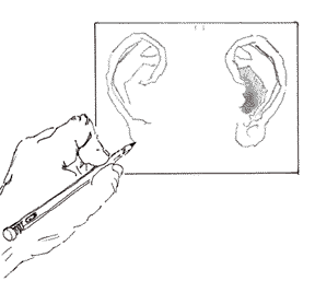 288x257 Earsvaseface