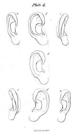 253x450 How To Draw Ears! Ears Are So Hard, This Is So Helpful ) Art