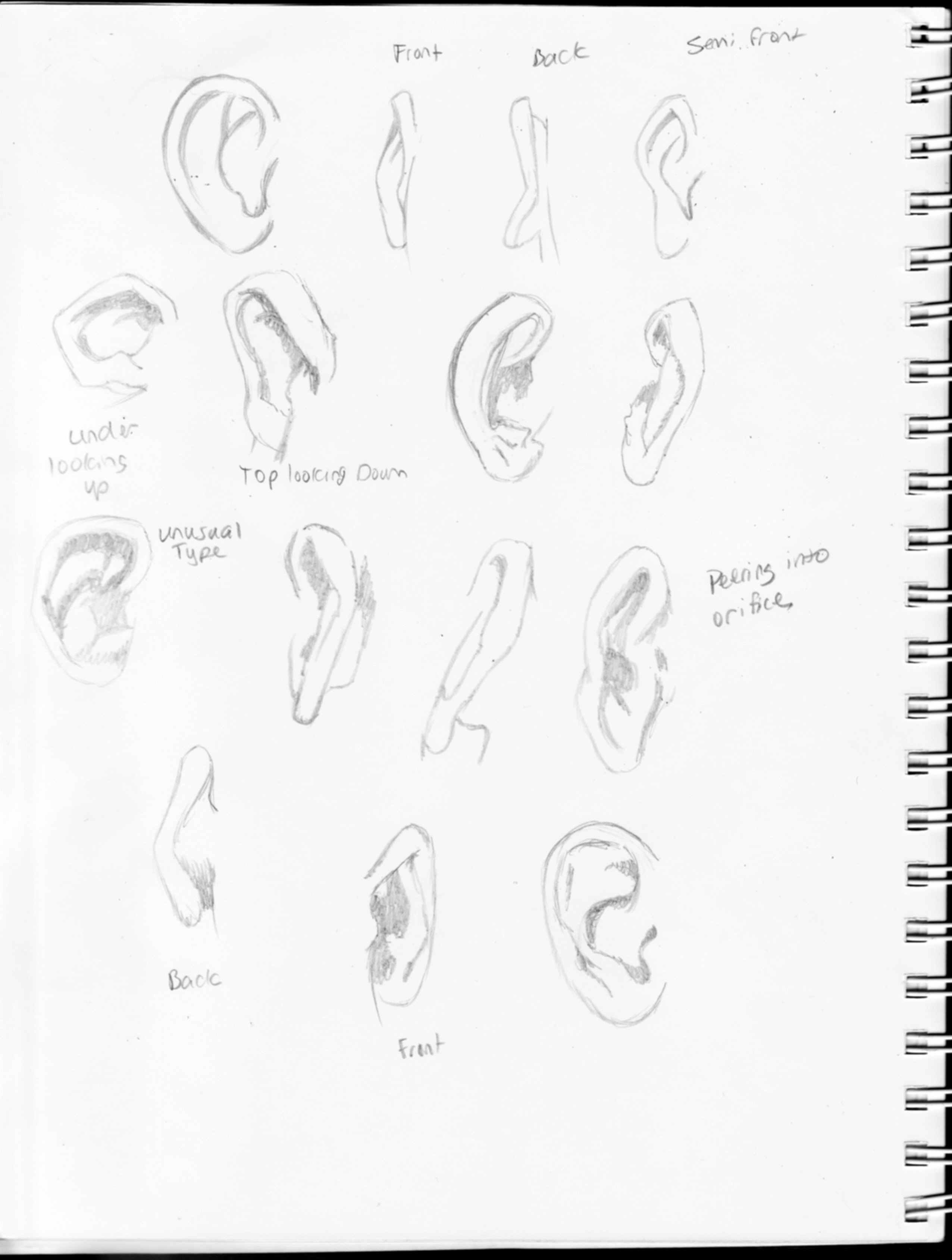2552x3376 Drawing The Ear The Artist In Me
