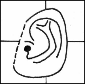 300x295 What Does Your Ear Lobe Reveal About Your Personality Womans Vibe