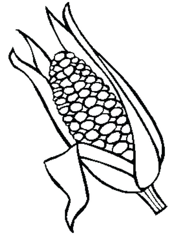 600x752 Ear Coloring Page Tasty Corn Ear Coloring Page Elephant Ear Plant