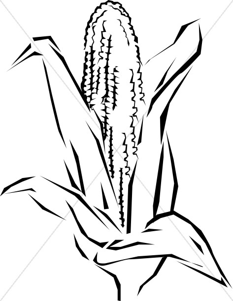 473x612 Ear Of Corn Church Food Clipart
