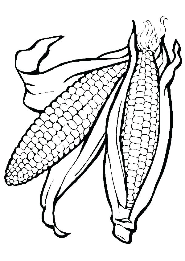 600x847 Ears Coloring Page Corn Ears Picture Coloring Page Mickey Mouse