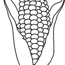 268x268 Corn Cob Coloring Page Az Coloring Pages Coloring Page Ear Of Corn