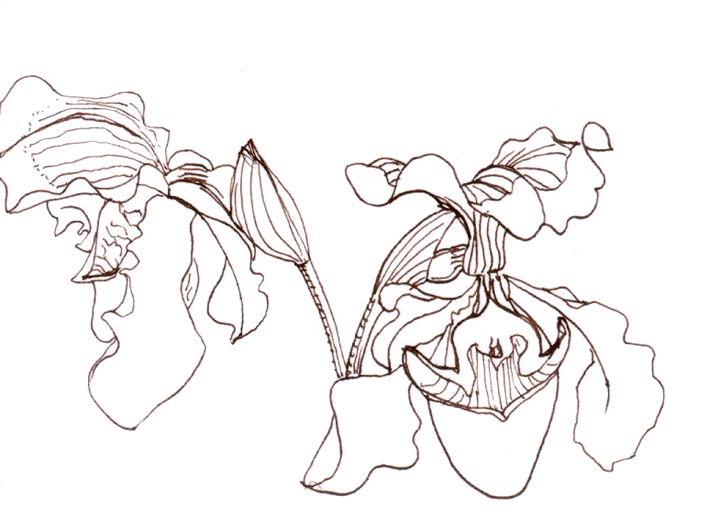 720x515 Orange Explains It All Drawing In Colder Months