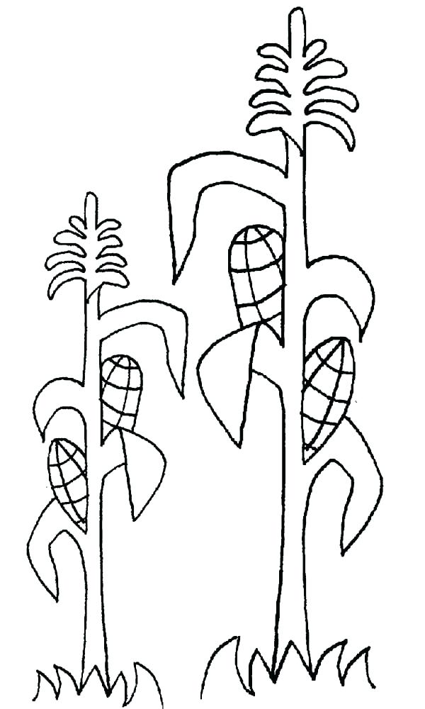 600x1000 Ears Coloring Page Ears Coloring Pages Coloring Pages Elf Ears