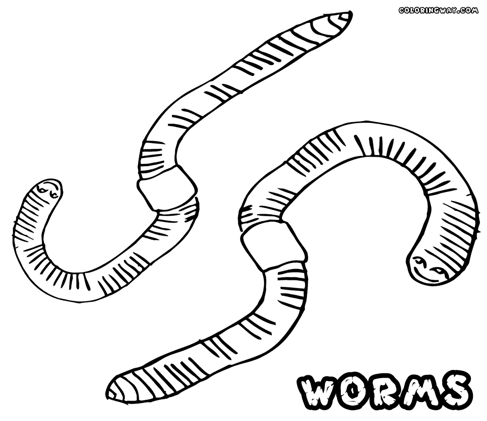 1000x865 Innovative Worm Coloring Pages To Download And Print