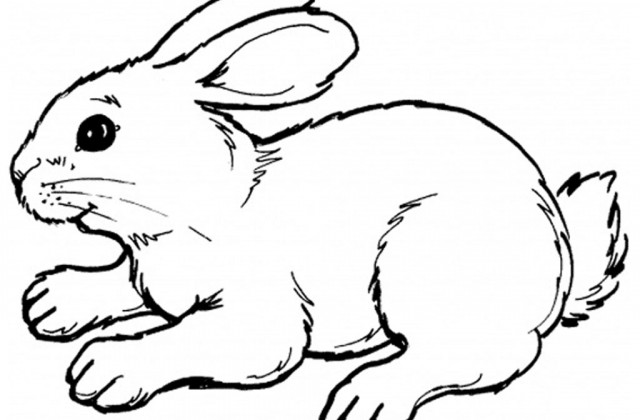 640x420 Tag For Cute Bunny Pictures To Draw Cartoon Easter Bunny