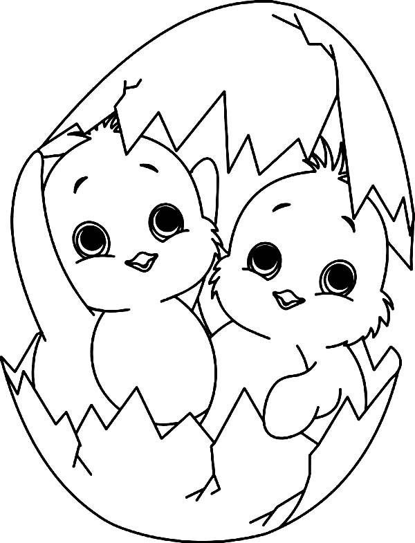 600x785 Baby Chick Coloring Pages