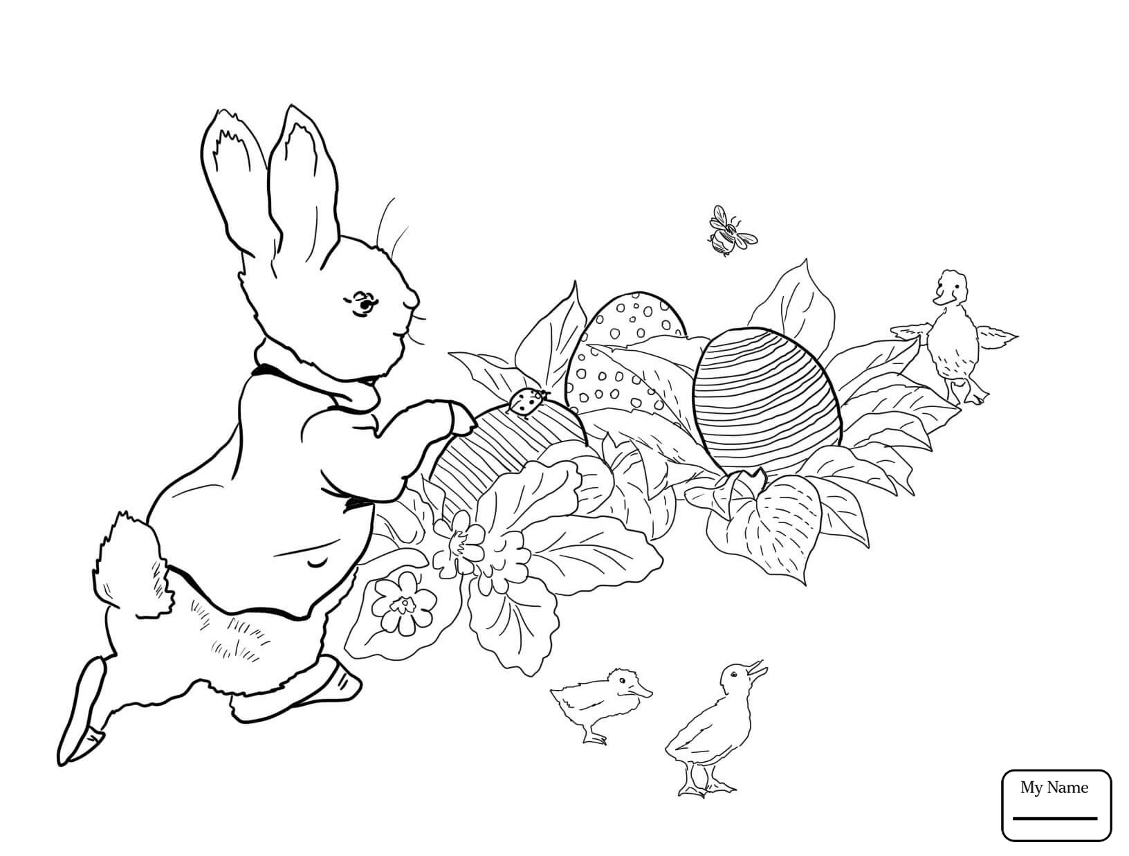 1632x1237 Radish Vegetables Coloring Pages For Kids New Peter Rabbit Easter