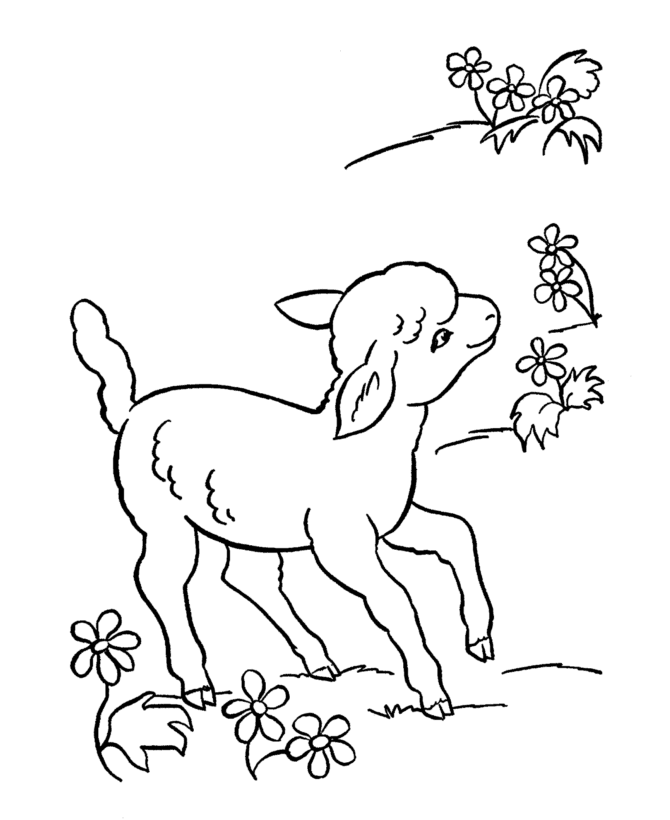 670x820 Bluebonkers Free Printable Easter Lamb Coloring Page Sheets