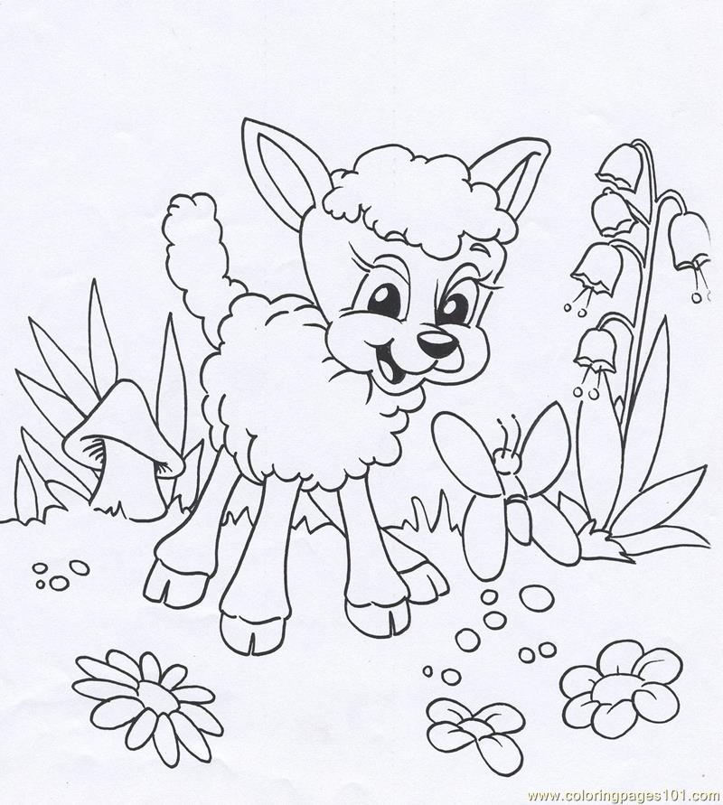 800x891 Lamb Animal Coloring Page